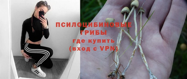 дмт Алексин