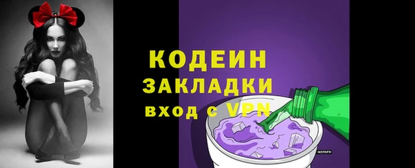 хмурый Няндома
