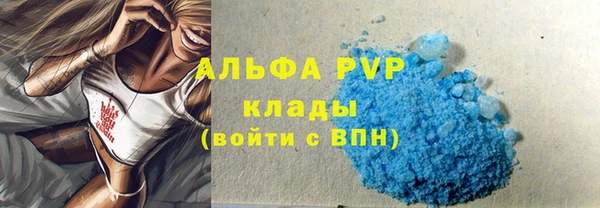 хмурый Няндома
