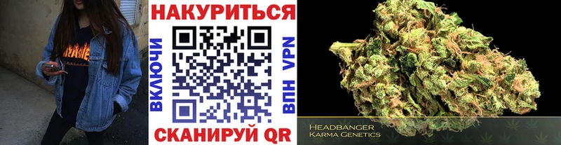 Бошки марихуана сатива  Сорочинск 